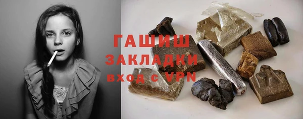 сатива Сатка